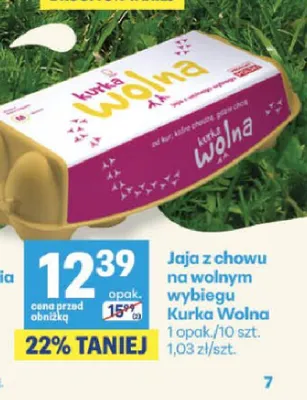 Jajka kurze z chowu na wolnym wybiegu Kurka Wolna promocja w Delikatesy Centrum