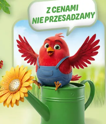 Gazetka 30 Lat Hipermarket Auchan, strona 22 promocja w Auchan