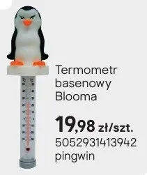 Termometr basenowy pingwin promocja w Castorama