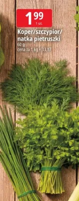 Koper/szczypior/natka pietruszki promocja w Leclerc