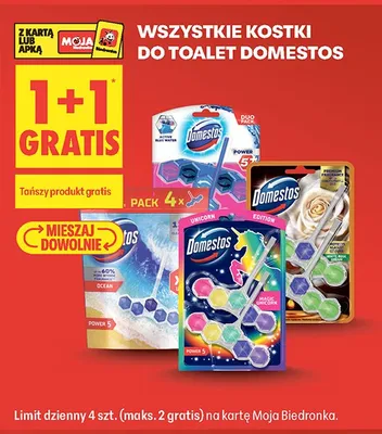 Kostka do toalet Domestos Power 5 Magic Unicorn promocja w Biedronka