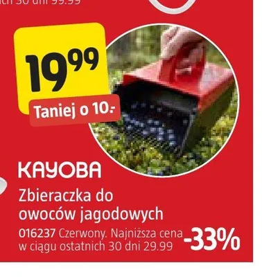 Zbieraczka do owoców jagodowych KAYOBA promocja w Jula
