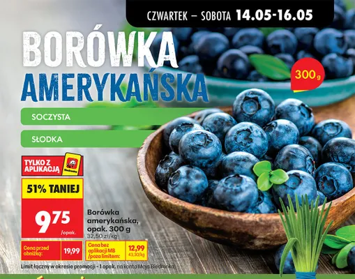 Borówka amerykańska promocja w Biedronka