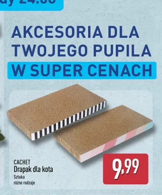 Drapak dla kota Cachet promocja w Aldi