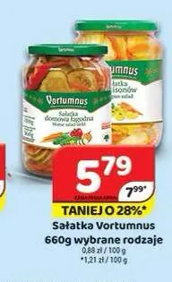 Sałatka Vortumnus domowa łagodna promocja w Delfin