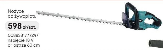 Nożyce do żywopłotu promocja w Castorama