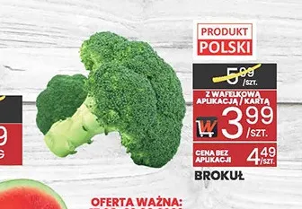 Brokuł Wafelek promocja w Wafelek