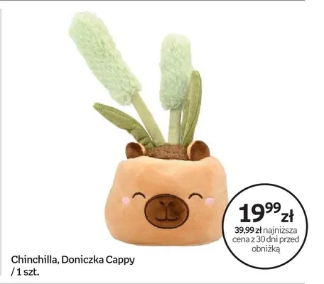 Maskotka Chinchilla Doniczka Cappy promocja w Empik