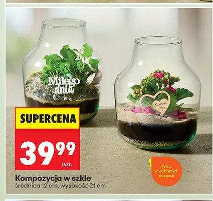 Kompozycja w szkle promocja w Biedronka