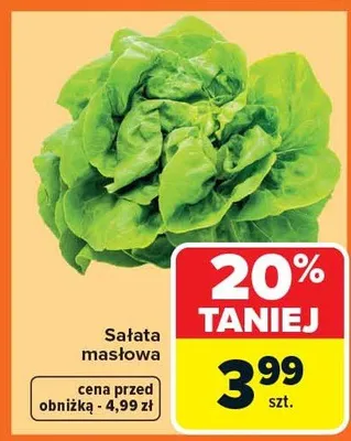 Sałata masłowa promocja w Carrefour