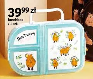 Lunchbox Paperdot Cappy Classes promocja w Empik