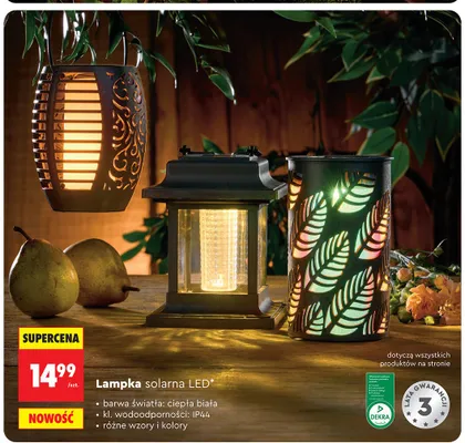 Lampka solarna LED Gardenic promocja w Biedronka