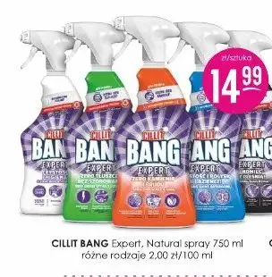 Płyn do czyszczenia Cillit Bang Expert Natural spray promocja w Drogerie Jasmin