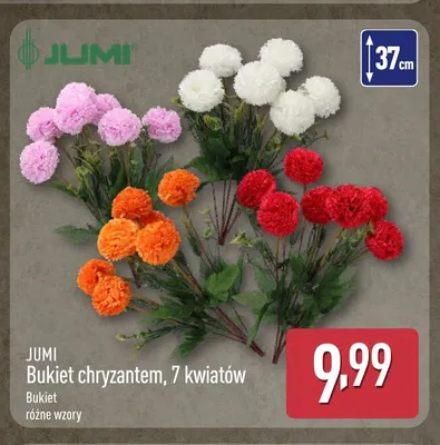 Bukiet chryzantem 7 kwiatów Jumi promocja w Aldi