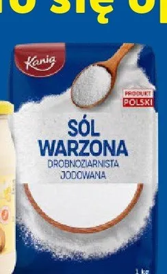 Sól warzona drobnoziarnista jodowana Kania promocja w Lidl