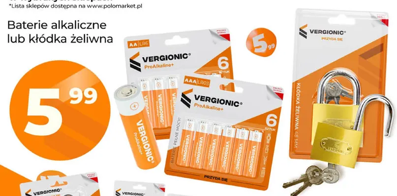 Kłódka żeliwna 48 mm Vergionic promocja w POLOmarket