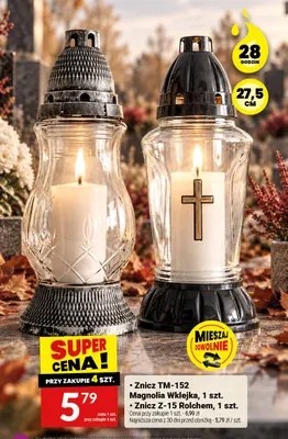 Znicz TM-152 Magnolia Wklejka promocja w Twój Market