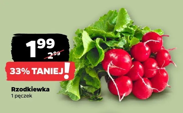 Rzodkiewka promocja w Netto