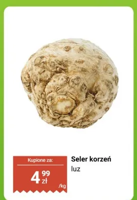 Seler korzeń luz promocja w Biedronka
