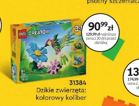 Klocki LEGO 31384 Dzikie zwierzęta: kolorowy koliber promocja w Empik