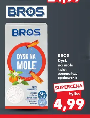 Dysk na mole kwiat pomarańczy Bros promocja w Kaufland