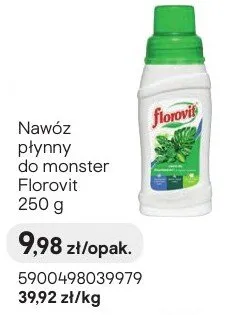 Nawóz płynny do monster promocja w Castorama