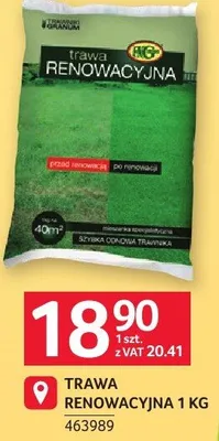 Trawa renowacyjna 1 kg promocja w Selgros