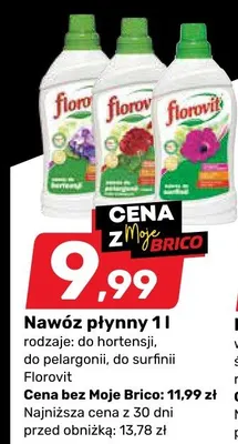 Nawóz płynny do hortensji Florovit promocja w Bricomarche