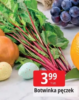 Botwinka pęczek promocja w Leclerc