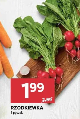 Rzodkiewka promocja w Stokrotka