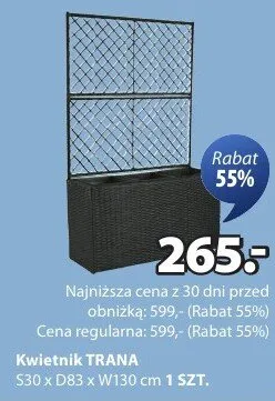 Kwietnik promocja w Jysk