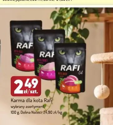 Karma dla kota Rafi promocja w Avita