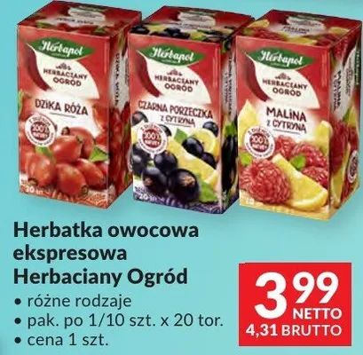 Herbatka owocowa ekspresowa Herbaciany Ogród różne rodzaje pak. po 1/10 szt. x 20 tor. promocja w Makro