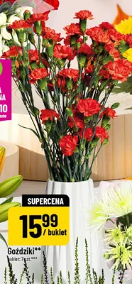 Goździki bukiet 7 szt. promocja w POLOmarket