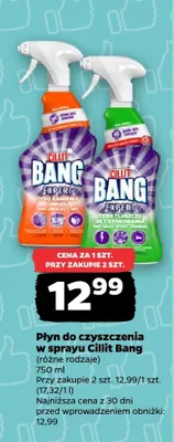 Płyn do czyszczenia w sprayu różne rodzaje promocja w Netto