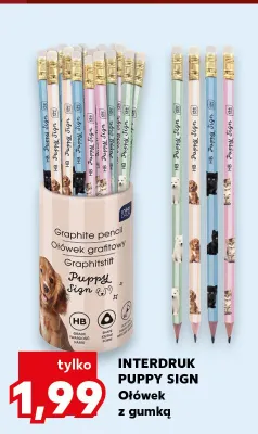 Ołówek z gumką Interdruk Puppy Sign promocja w Kaufland