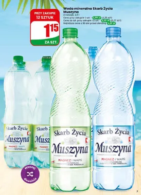 Woda mineralna gazowana Skarb Życia Muszyna promocja w Dino