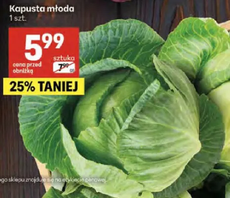 Kapusta młoda promocja w Delikatesy Centrum