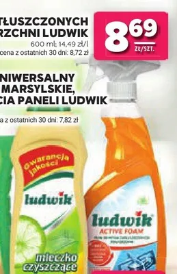 Płyn do zatłuszczonych powierzchni Ludwik Active Foam promocja w Stokrotka
