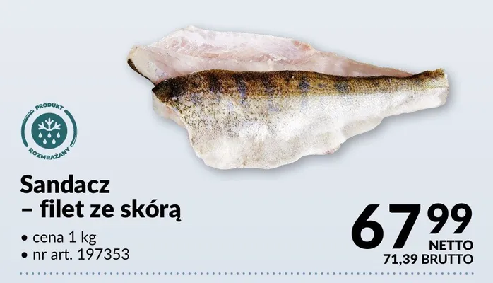 Sandacz - filet ze skórą promocja w Makro