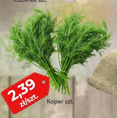 Koper promocja w emma MARKET