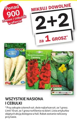 Wszystkie nasiona i cebulki promocja w Selgros