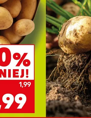 Ziemniaki promocja w Kaufland