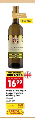 Wino Wine of Georgia Alazani Valley White promocja w Biedronka