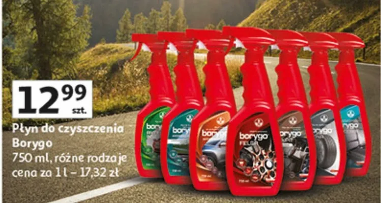 Płyn do czyszczenia różne rodzaje promocja w Auchan