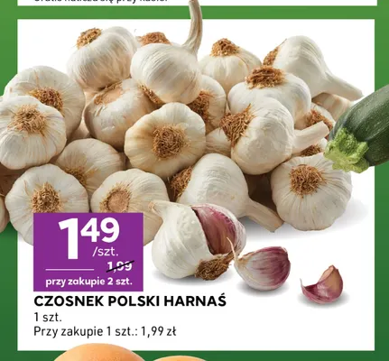 Czosnek polski Harnaś promocja w Stokrotka
