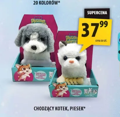 Chodzący kotek, piesek promocja w Arhelan