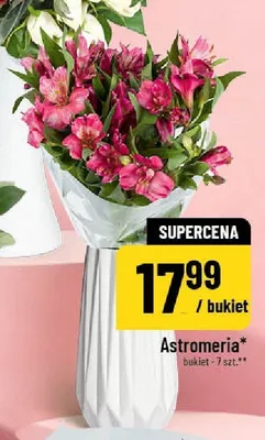 Astromeria promocja w POLOmarket