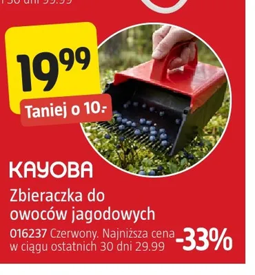 Zbieraczka do owoców jagodowych Kayoba promocja w Jula