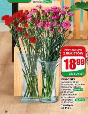 Goździki bukiet promocja w Dino